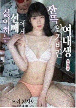编辑推荐剧集完整版